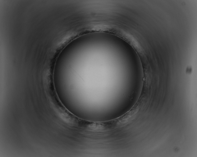 X0000102010354200807181233