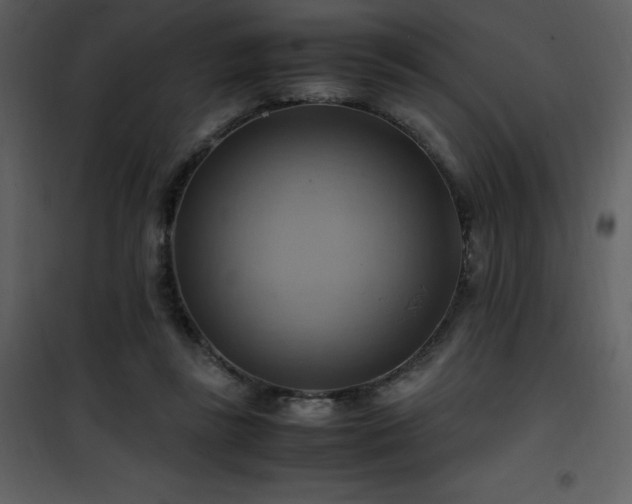 X0000102010355200807181233