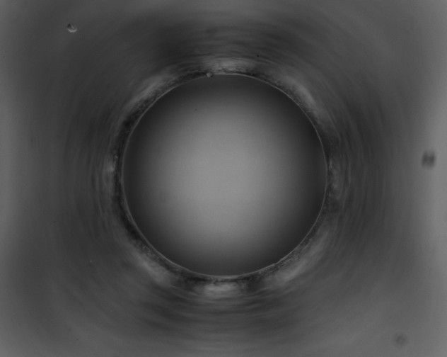 X0000102010357200807181233