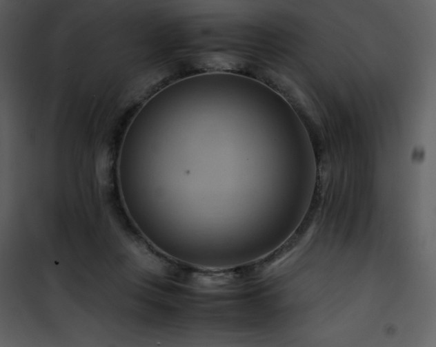 X0000102010359200807181234