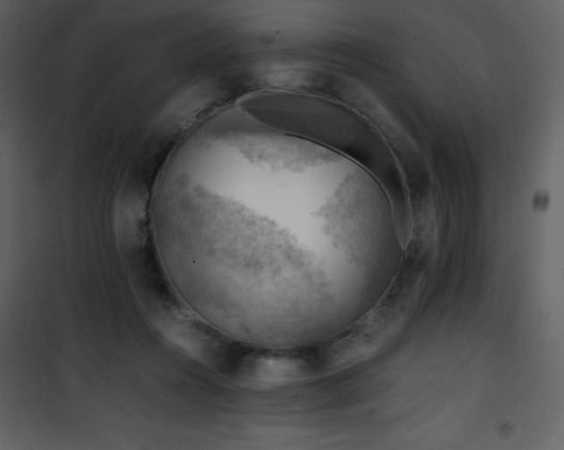 X0000102010360200807181234