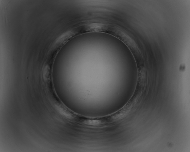 X0000102010361200807181234