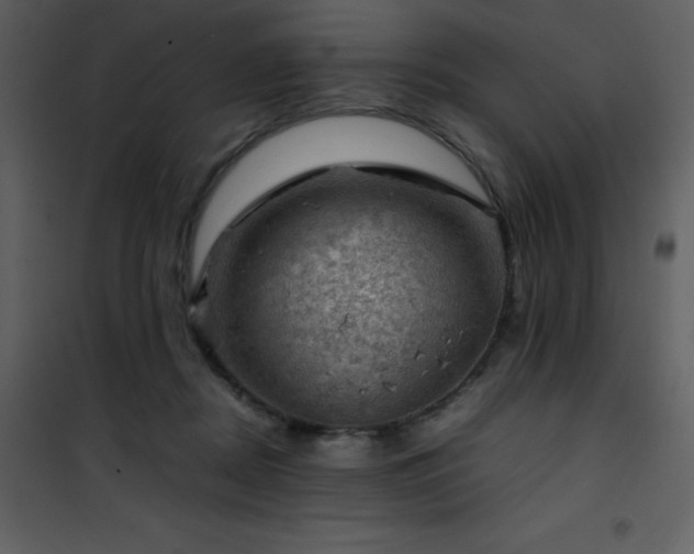 X0000102010362200807181234