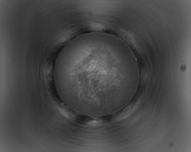 X0000102010364200807181234