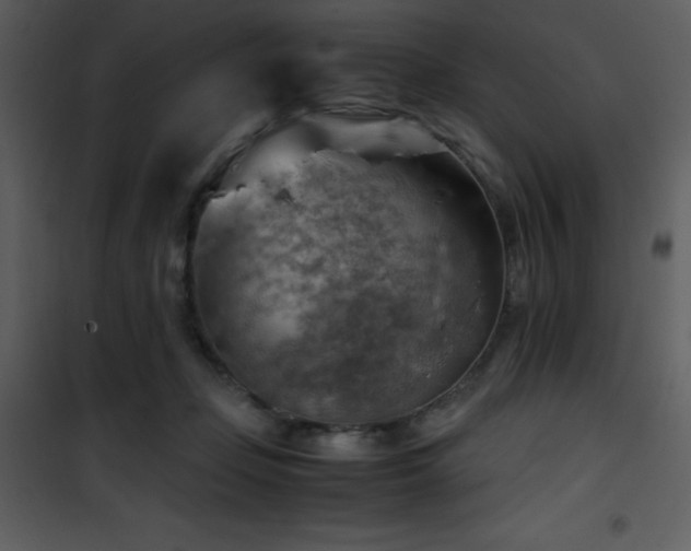X0000102010365200807181234