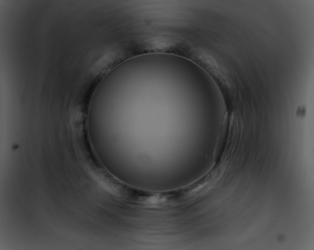 X0000102010366200807181234