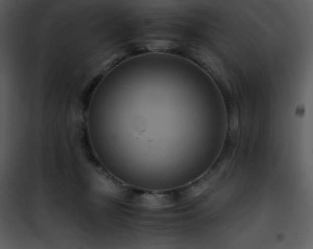 X0000102010367200807181234
