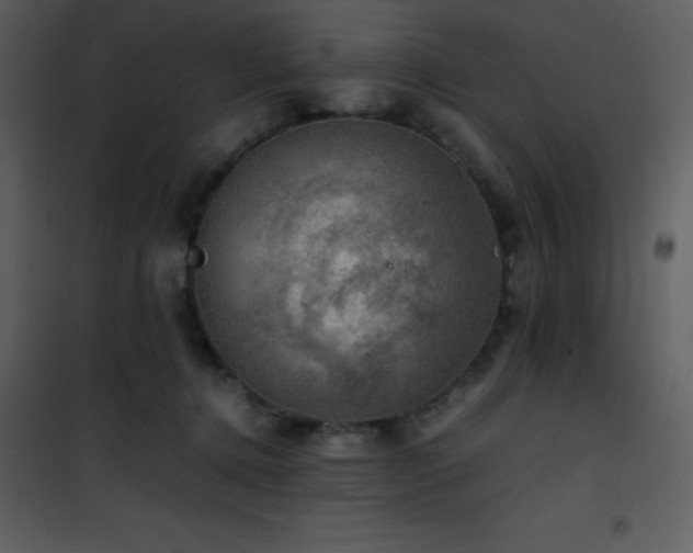 X0000102010368200807181234