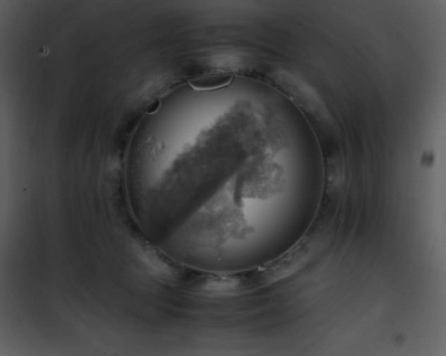 X0000102010369200807181234