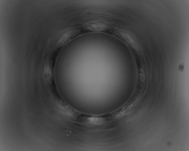 X0000102010371200807181234