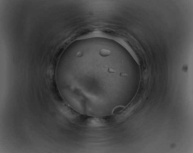 X0000102010372200807181234