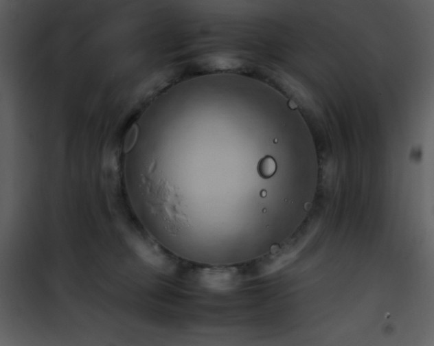 X0000102010373200807181234