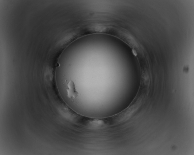 X0000102010374200807181234