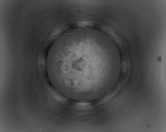 X0000102010375200807181234