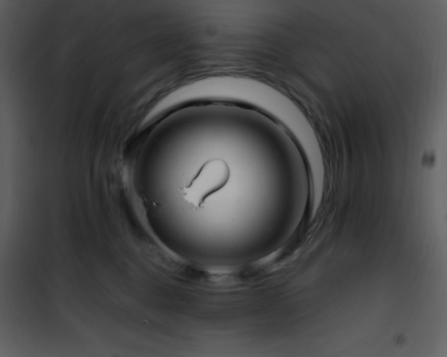 X0000102010376200807181234