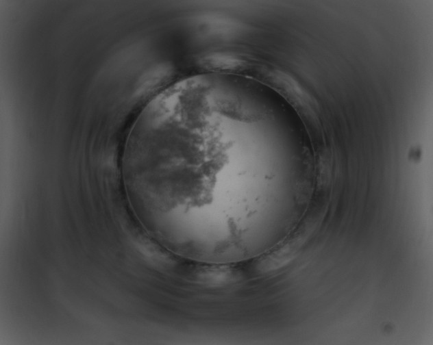 X0000102010377200807181234