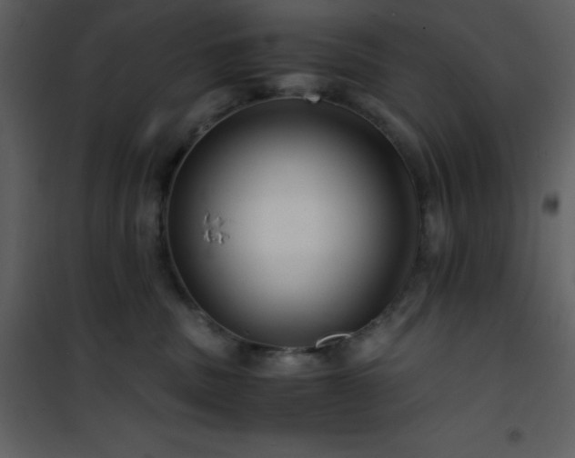 X0000102010379200807181234