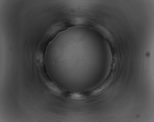 X0000102010380200807181234