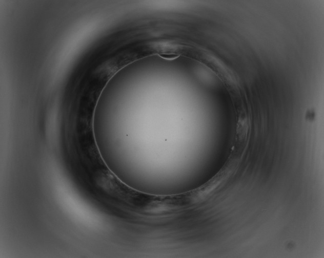 X0000102010381200807181234