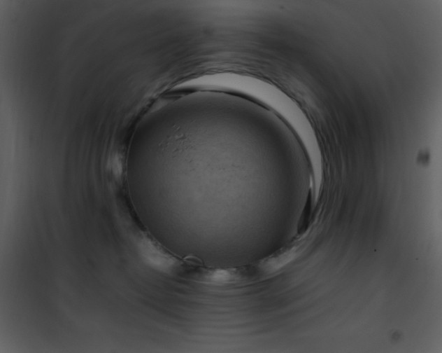 X0000102010382200807181234