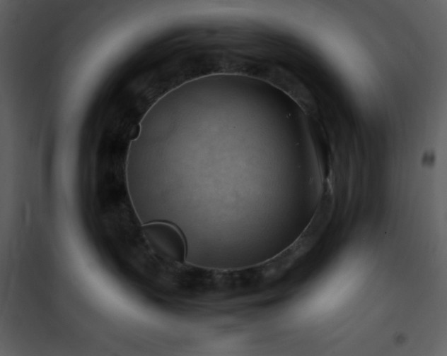 X0000102010383200807181234