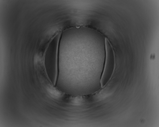 X0000102010384200807181234