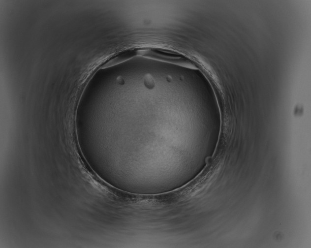 X0000102010385200807181233