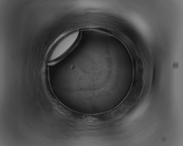 X0000102010387200807181233