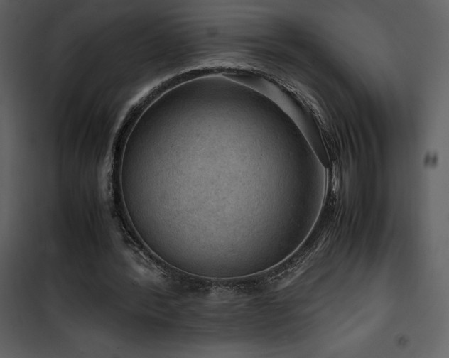 X0000102010388200807181233