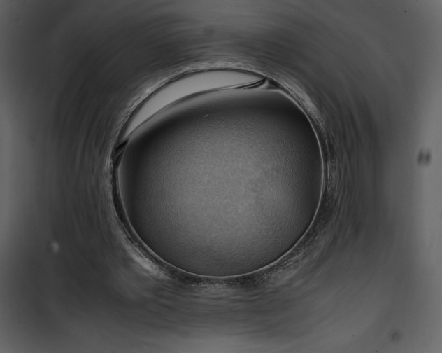 X0000102010389200807181233