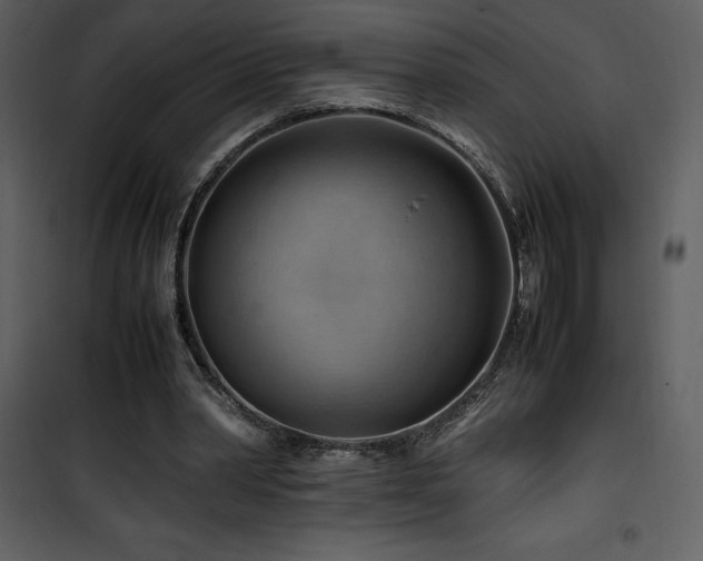 X0000102010390200807181233
