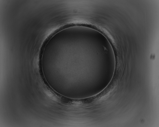 X0000102010391200807181233