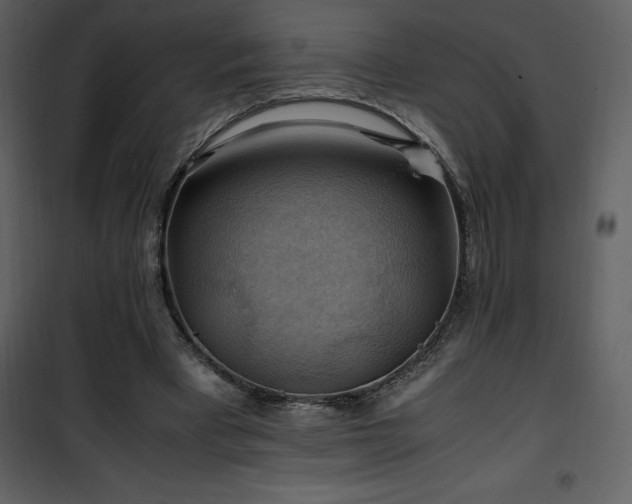 X0000102010393200807181233