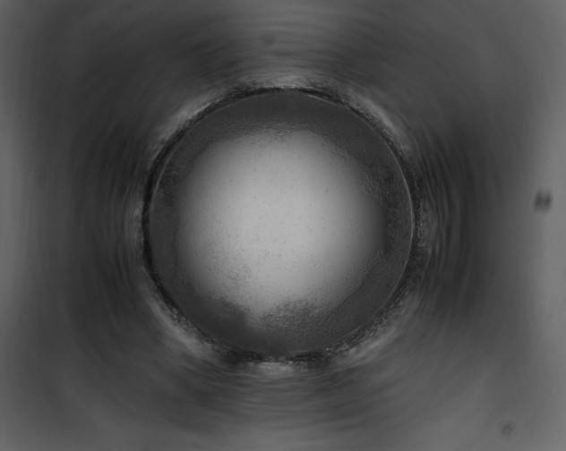 X0000102010394200807181233