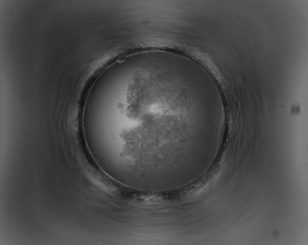 X0000102010395200807181233
