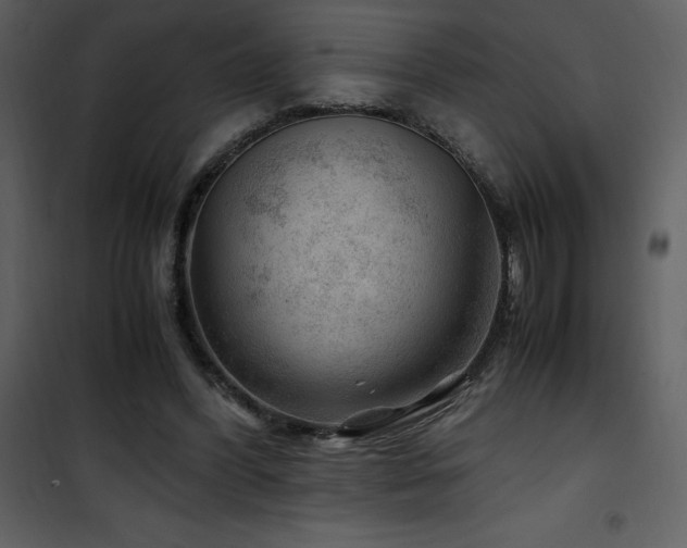 X0000102010396200807181233