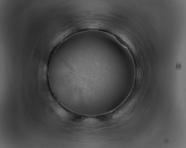 X0000102010397200807181233