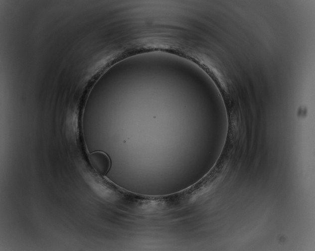 X0000102010398200807181233