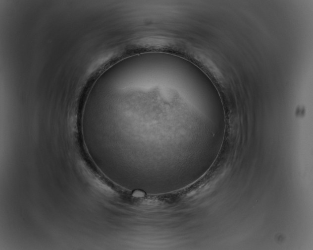 X0000102010399200807181233