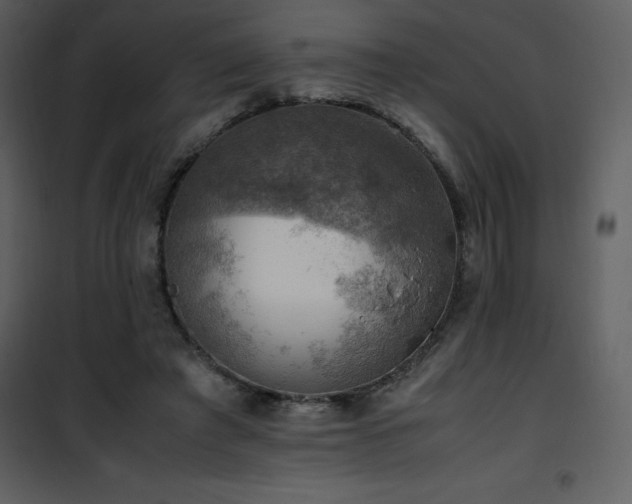 X0000102010401200807181233