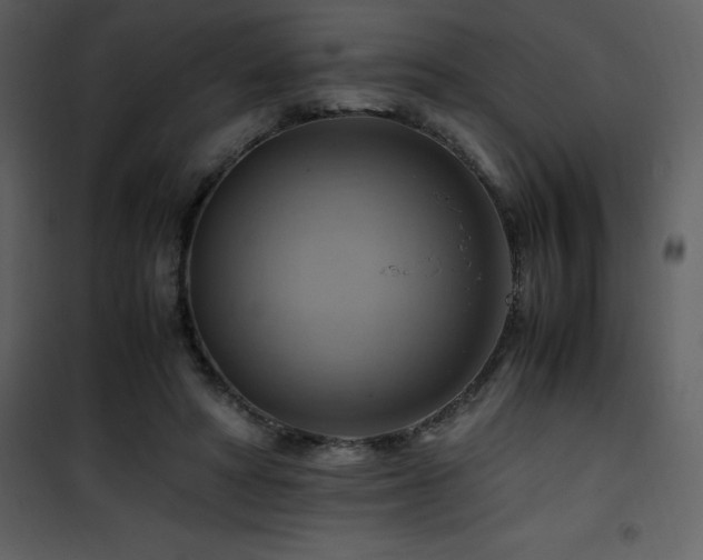 X0000102010402200807181233