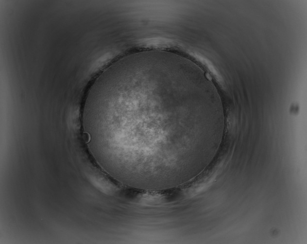 X0000102010403200807181233