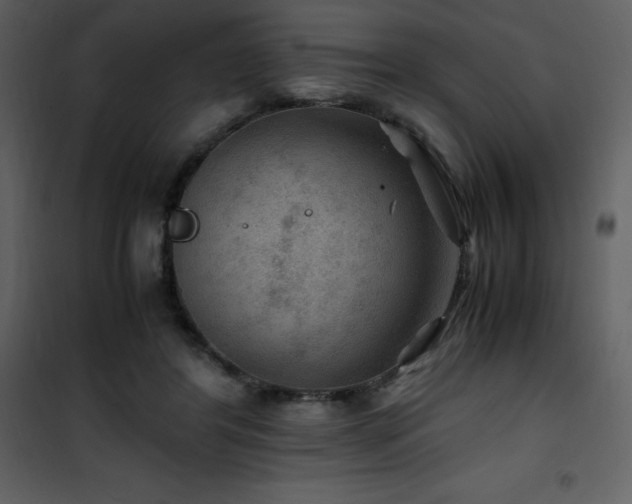 X0000102010404200807181233