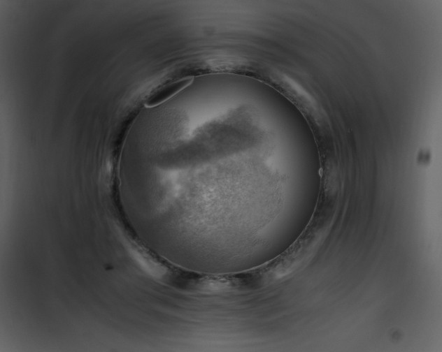 X0000102010405200807181233