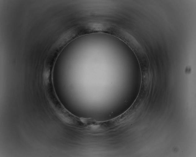 X0000102010406200807181233