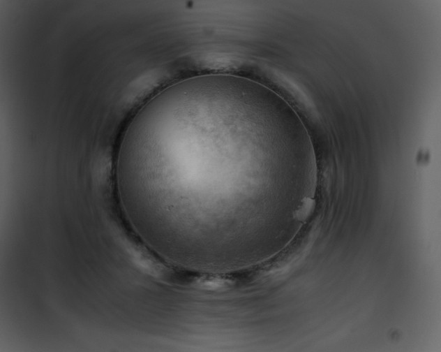 X0000102010407200807181233