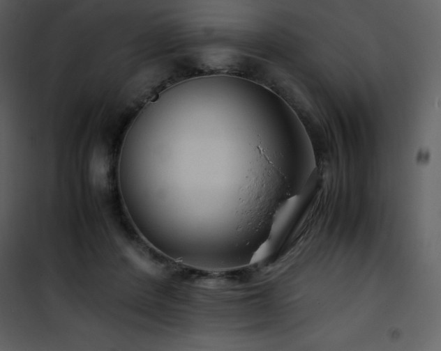 X0000102010408200807181233