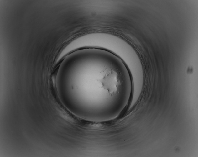 X0000102010409200807181233