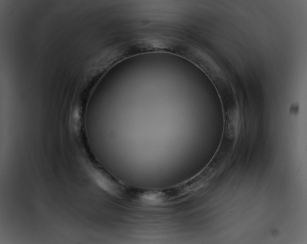 X0000102010410200807181233