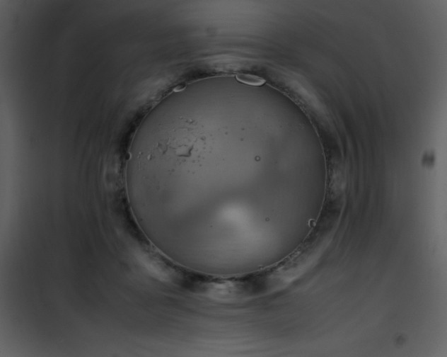 X0000102010411200807181233
